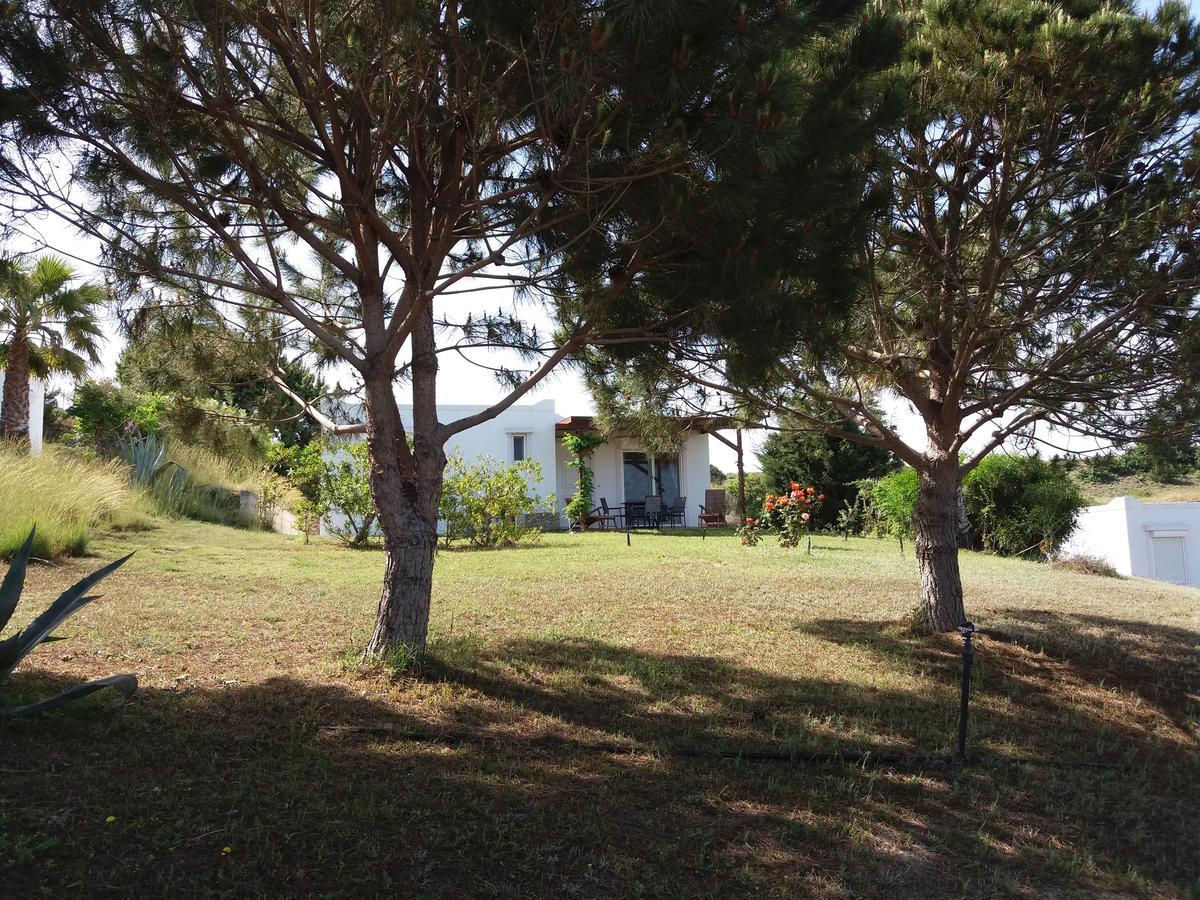 Holiday home Kos Mastichari (Kos)
