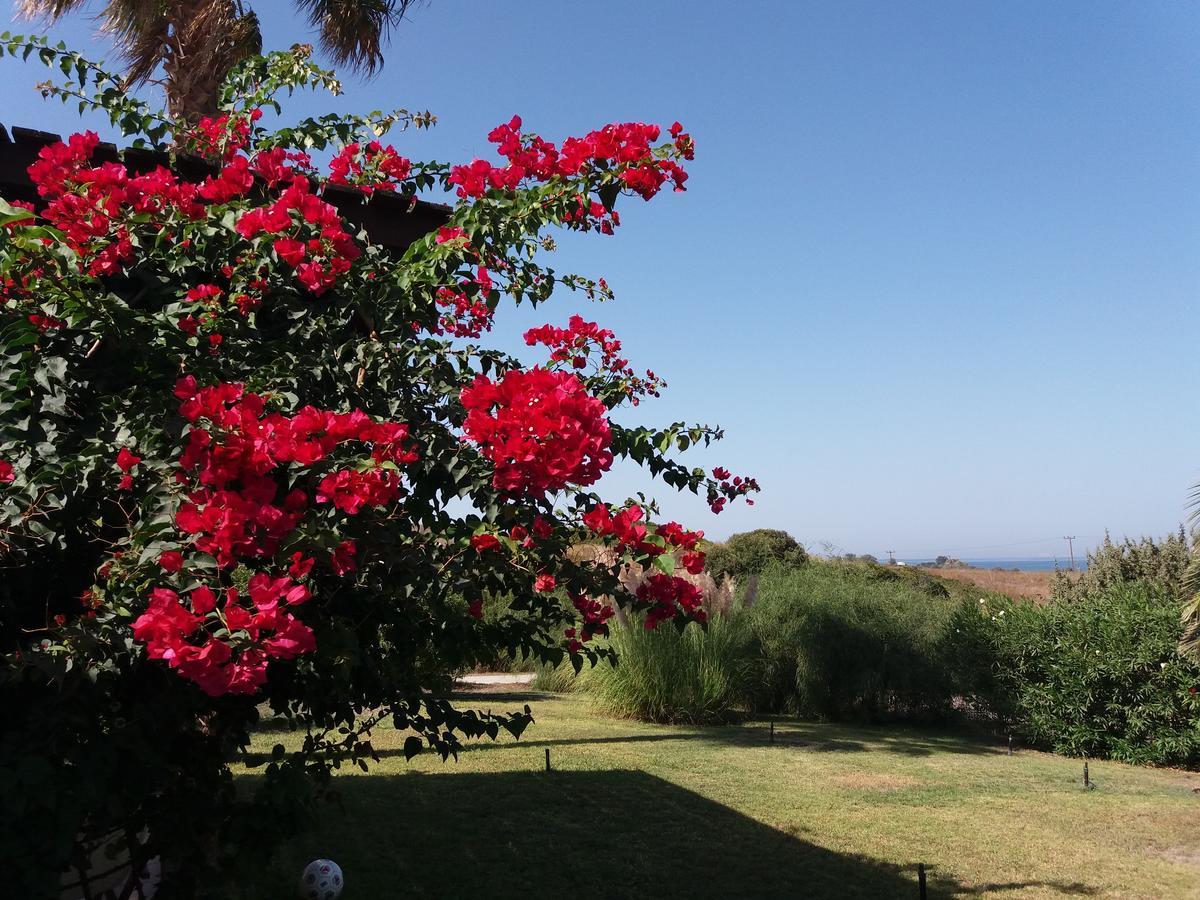 Kos Mastichari (Kos)